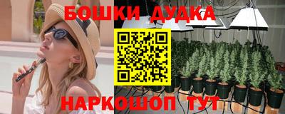 гашик Краснознаменск