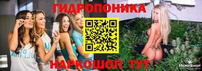 spice Краснокаменск