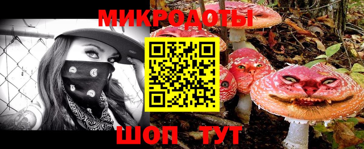 Псилоцибиновые грибы GOLDEN TEACHER Хасавюрт